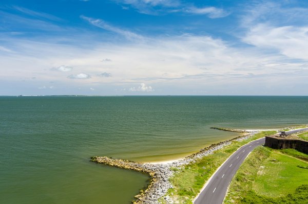 Quels sont les meilleurs spots pour observer les dauphins en Floride, USA?